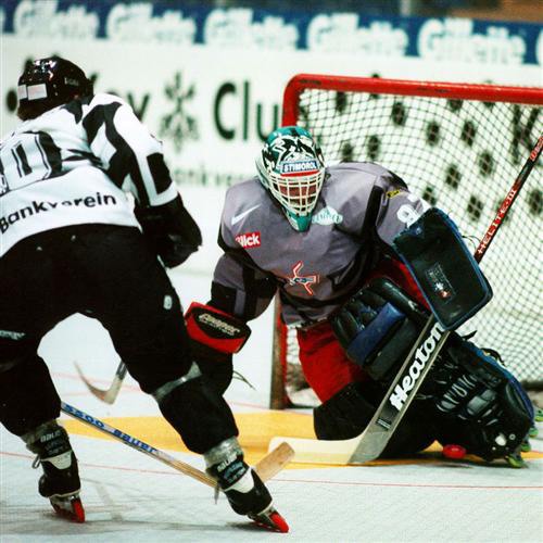 Inline-Hockey Sportboden Typ MULTISPORT