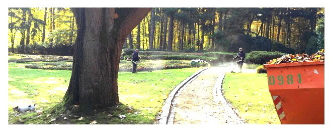 Gartenpflege Ob Rasenmähen, Unkrautbeseitigung oder Baumschnitt. Wir pflegen alles: Vom privaten Garten über Grünflächen bis hin zu großen  Parkanlagen - und das ganzjährig!