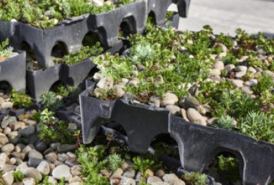 COMPLETA mit vorbepflanzten Pflanzschalen für Gründächer bringen wirtschaftliche und ökologische Vorteile für Gebäude