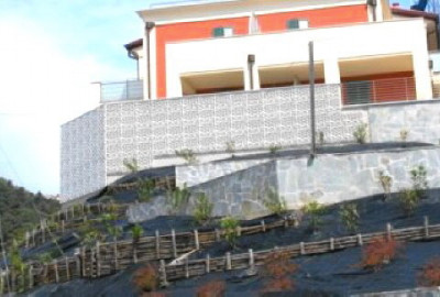 DIE GRÜNE SEELE DER ARCHITEKTUR, die Verwendung von Pflanzen, um Gebäude zu verkleiden, ist bereits Teil der modernen Architektur
