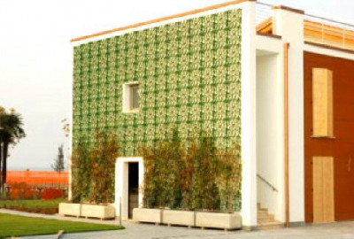 DIE GRÜNE SEELE DER ARCHITEKTUR, die Verwendung von Pflanzen, um Gebäude zu verkleiden, ist bereits Teil der modernen Architektur
