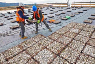 Completa, Drainroof, Lösungen, Umfangreicher Dachgarten mit Gras, Umfangreiche Dachgärten mit Sedum, Intensive Dachgärten, gepflanzter Dachgarten,  Kostensenkung, Green Roof, Resilience, Nachhaltigkeit, Nachhaltige Rentabilität