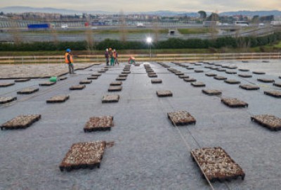 Completa, Drainroof, Lösungen, Umfangreicher Dachgarten mit Gras, Umfangreiche Dachgärten mit Sedum, Intensive Dachgärten, gepflanzter Dachgarten,  Kostensenkung, Green Roof, Resilience, Nachhaltigkeit, Nachhaltige Rentabilität