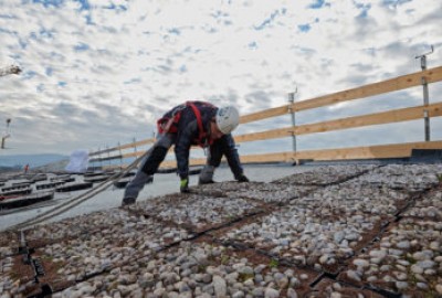 COMPLETA mit vorbepflanzten Pflanzschalen für Gründächer bringen wirtschaftliche und ökologische Vorteile für Gebäude