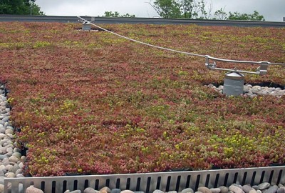 Gründächer werden seit vielen Jahrhunderten als umweltfreundliches Produkt verwendet und als nachhaltige Baupraxis angesehen. Die wirtschaftlichen und ökologischen  Vorteile von Gründächern wurden bereits von vielen Forschern nachgewiesen.