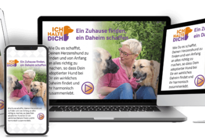EIN ZUHAUSE FINDEN, EIN DAHEIM SCHAFFEN. Wusstest Du, wie viele Hunde nach einer erfolgreichen Vermittlung wieder zurückgebracht werden?