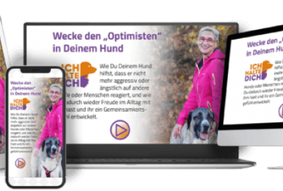 hast Du Dich schon einmal gefragt, was in Deinem Hund vorgehen könnte, wenn er völlig überreagiert, weil er bereits einen anderen Hund in  einer großen Entfernung bemerkt?