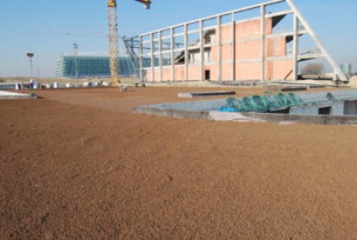 Bepflanzte Dachfläche auf DRAINROOF mit nachhaltigem Wassermanagement