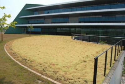 Bepflanztes Dach mit System DRAINROOF für gutes Regenwasser Management