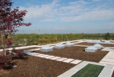 Dachgarten mit DRAINROOF und intensiver Dachbegrünung und nachhaltigem Wassermanagement