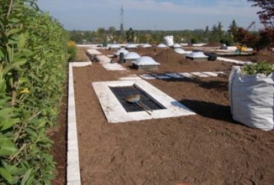 Dachgarten mit DRAINROOF und gepflanzten Bäumen und nachhaltigem Wassermanagement