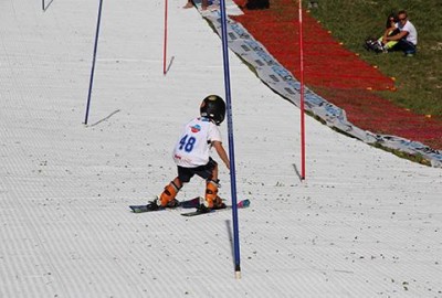 Alpiner Skisport das ganze Jahr ohne Schnee mit GEOSKI