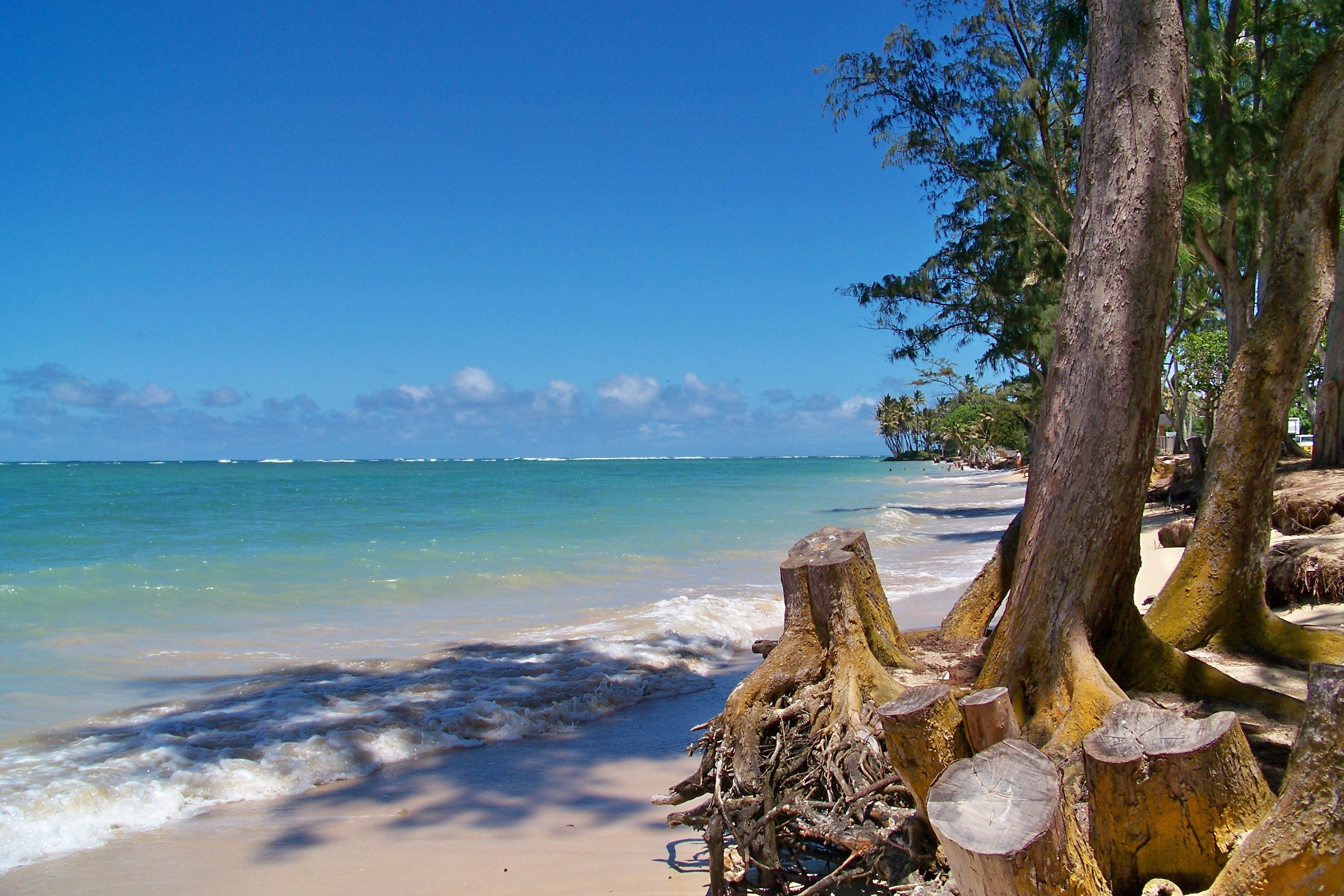 Die 5 besten Internet-Ressourcen für Ihren Urlaub